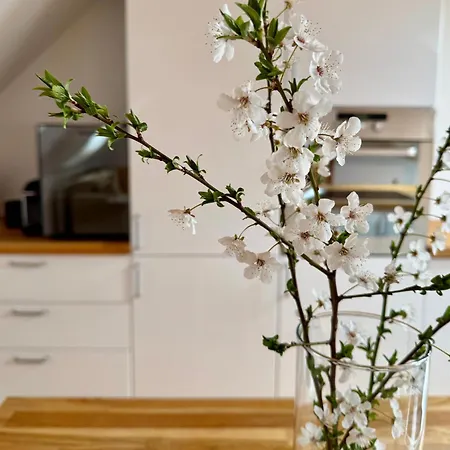 Apartmán Kralova In