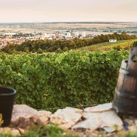 Kralova In Apartmán *